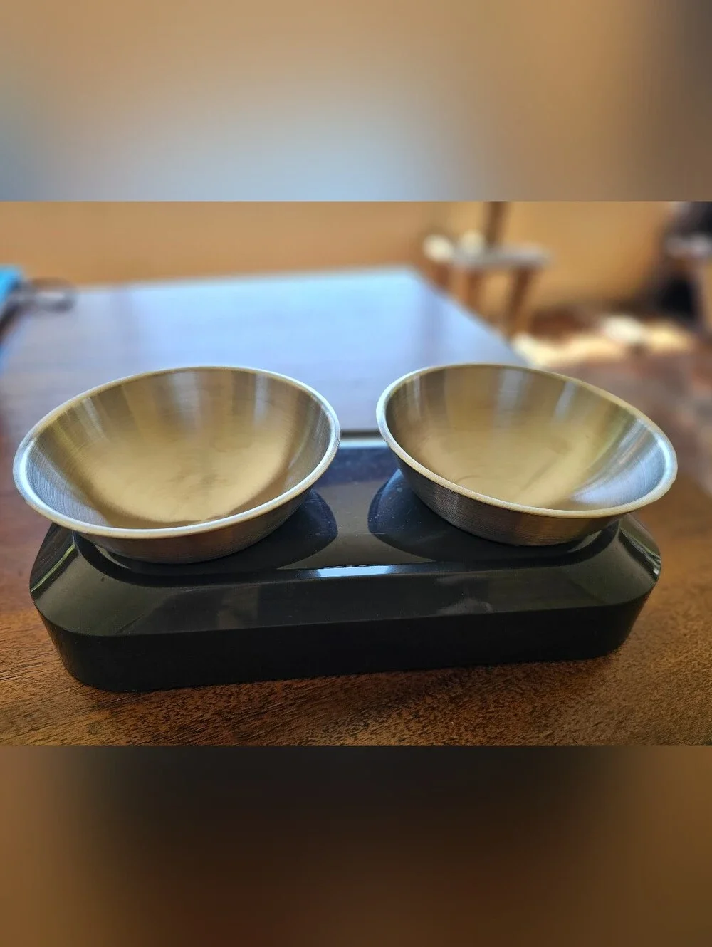Stainless Steel Elevated Cat & Small Dog Bowls, Non-Slip, Anti Vomiting